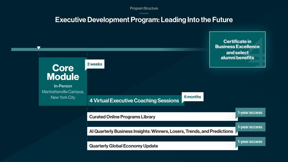 Program Structure of the Executive Development Program